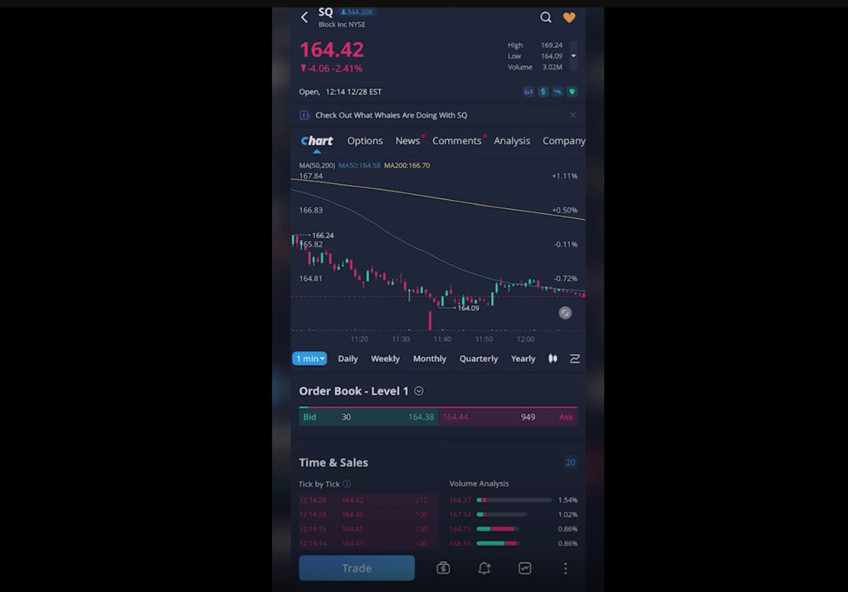 Webull mobile chart