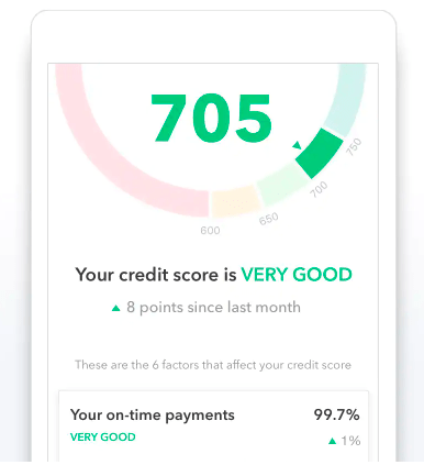 Mint credit score