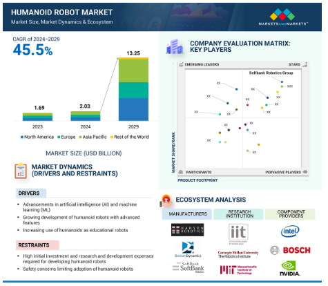 8. Humandid Robot Market