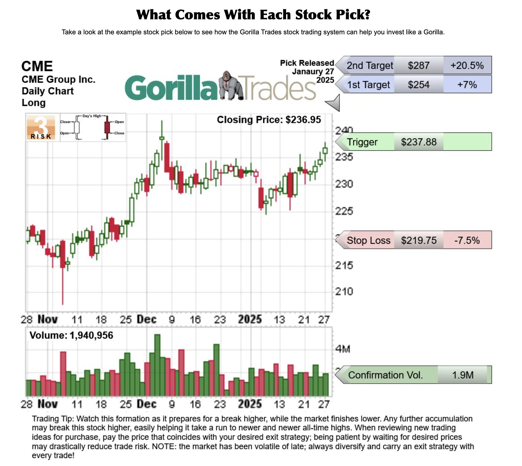 What Comes With Each Stock Pick
